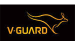 V-Guard Industries